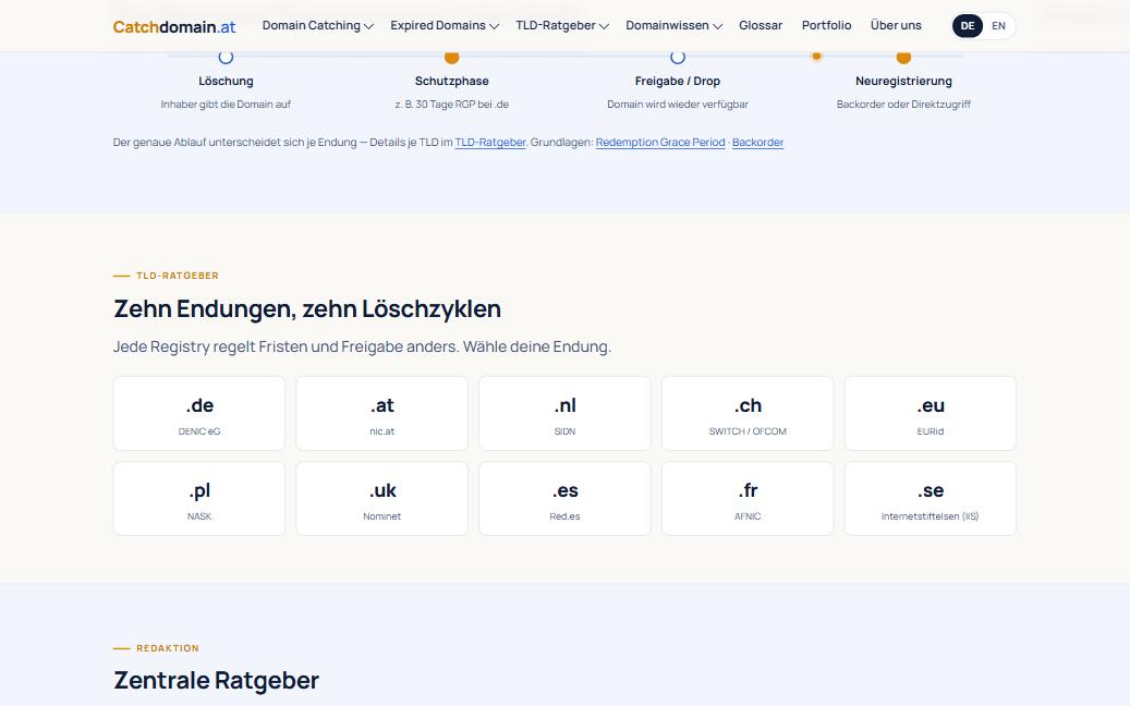 Abschnitt „Was möchtest du erreichen?" auf catchdomain.at